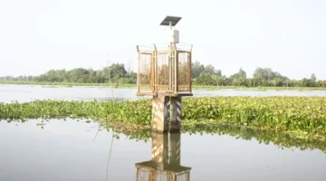 تأثير الطقس الحار على تسرب المياه المالحة في دلتا نهر ميكونغ